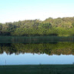 Meet your Posher, Ken